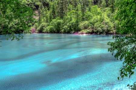 Nature Water Vegetation Body Of Water