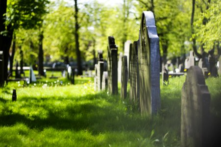 Cemetery Grass Tree Grave photo