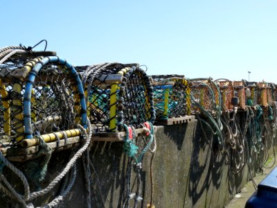 Vehicle Wire Fencing Fence Tree photo