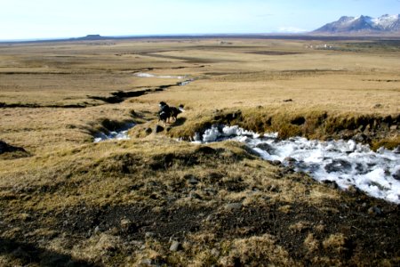 Tundra Ecosystem Steppe Ecoregion