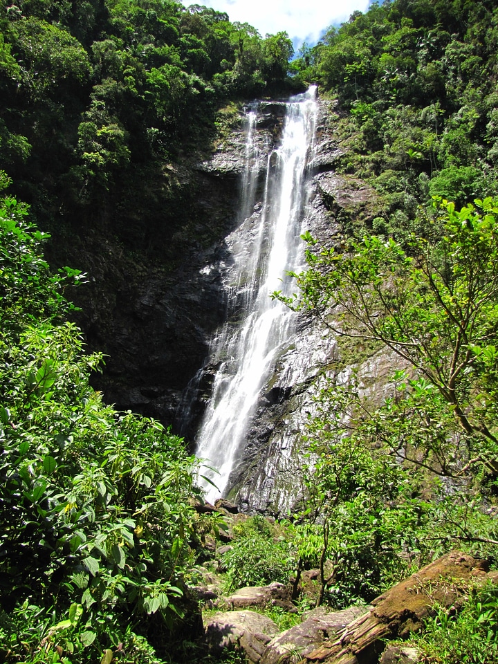 Waterfall salto morato serra do mar