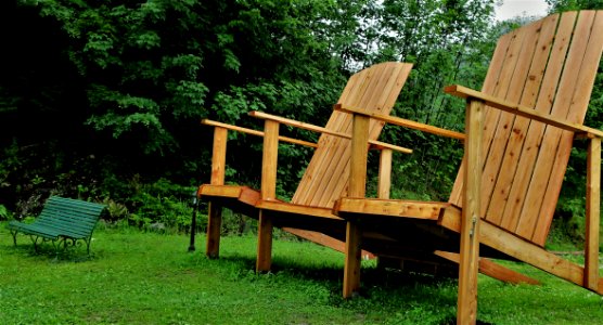 Furniture Chair Tree Wood photo