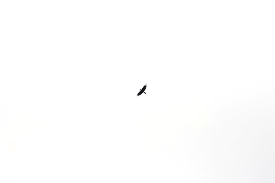 Sky Black And White Font Computer Wallpaper