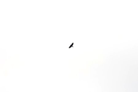 Sky Black And White Font Computer Wallpaper