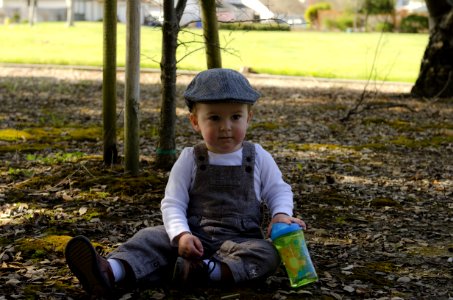 Plant Tree Child Vertebrate