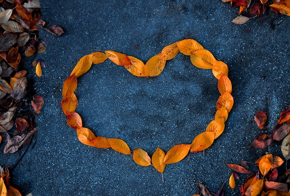 Orange autumn contrast
