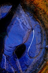 Blue Water Reflection Water Resources