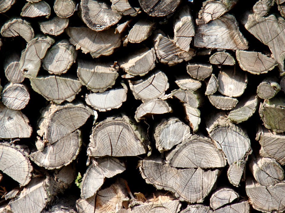 Leaf Soil Wood Rock