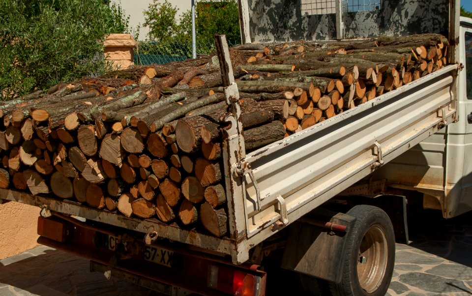 Vehicle Wood Tree Lumber
