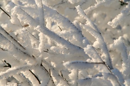 Sky Snow Frost Freezing photo