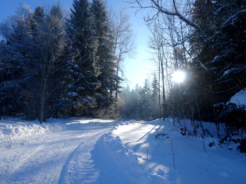 Snow Winter Sky Freezing