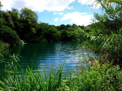 Vegetation Water Nature Nature Reserve photo