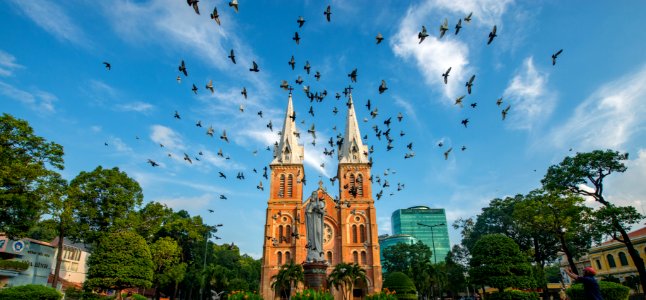 Flock Of Birds Under Blue And White Sky photo