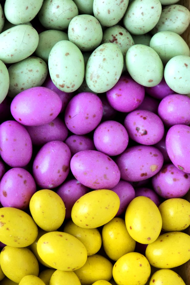 Teal Pink And Yellow Beans