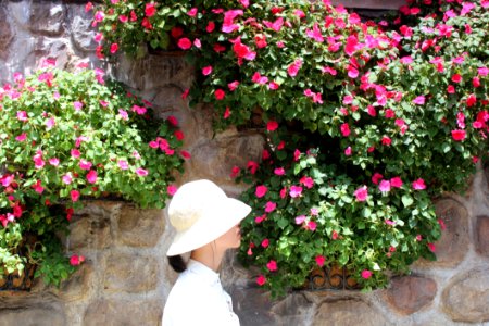 Woman Wearing White Bucket Hat With White Top Beside Pink Petaled Flower At Daytime photo
