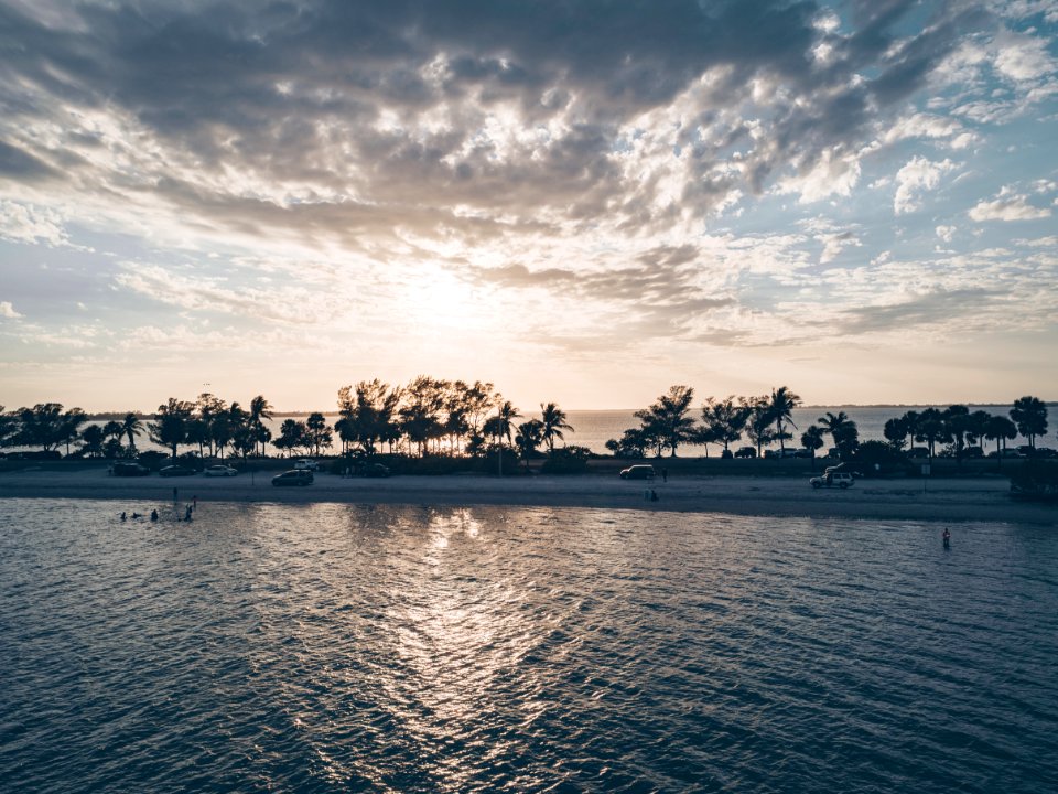 Body Of Water And Trees