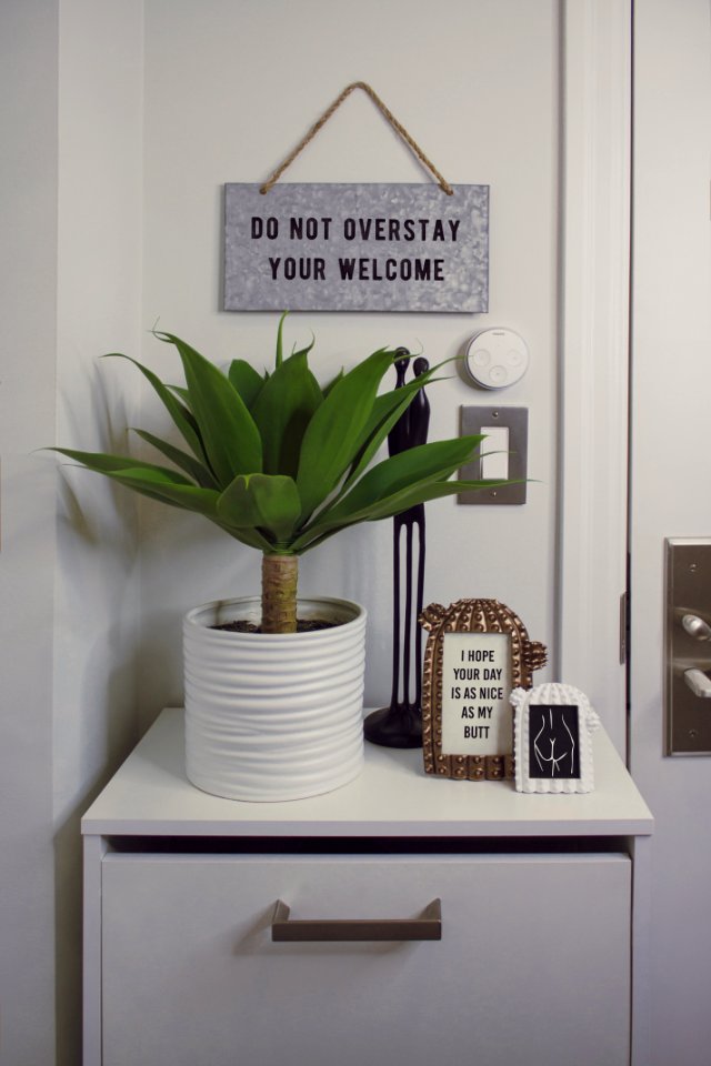 Green Dracaena Plant With White Pot On White Wooden Surface photo