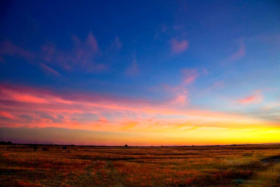 Sky Afterglow Horizon Ecosystem photo