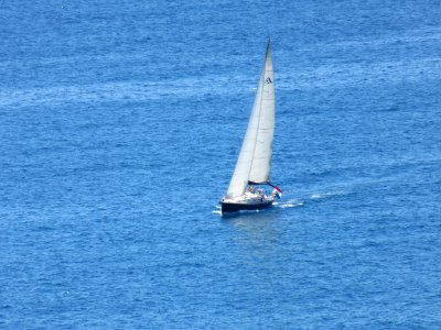 Sailboat Sail Water Transportation Sailing