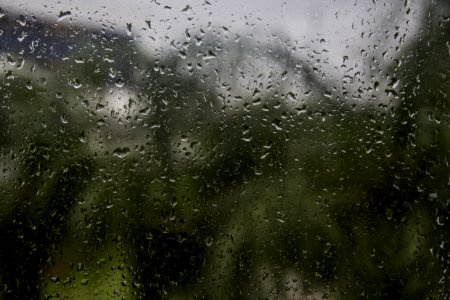 Water Rain Atmosphere Vegetation photo