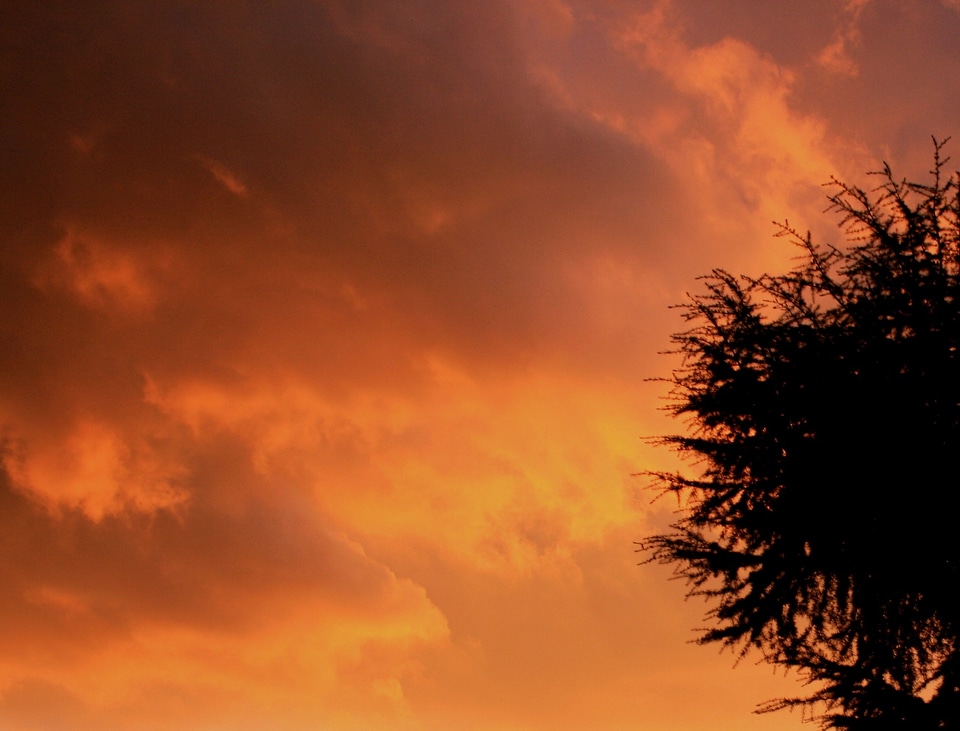 Warm gold shadows cloudy