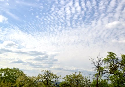 Sky Cloud Daytime Atmosphere photo