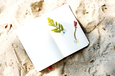 Craft Diary Paper