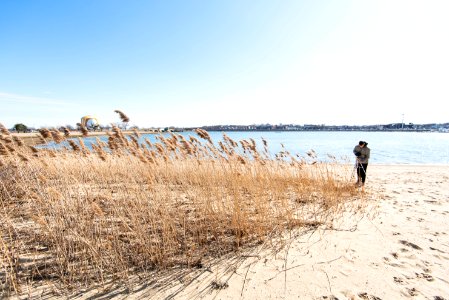 Beach With Brown Grass On Sea With