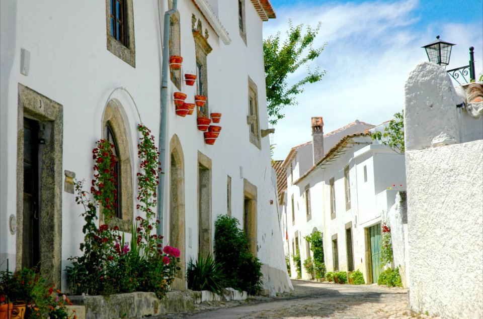White Concrete Structure With Green And Red Plants