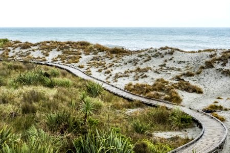Road Leading To Ocean