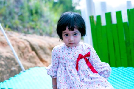 Toddlers Gray Floral Dress photo