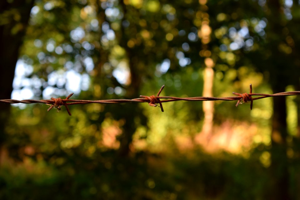 Shallow Photography Of Barbwire