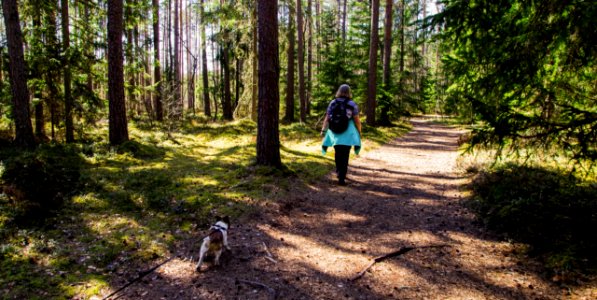 Woman Wearing Black Backpack Walking On The Forest With Her Dog photo