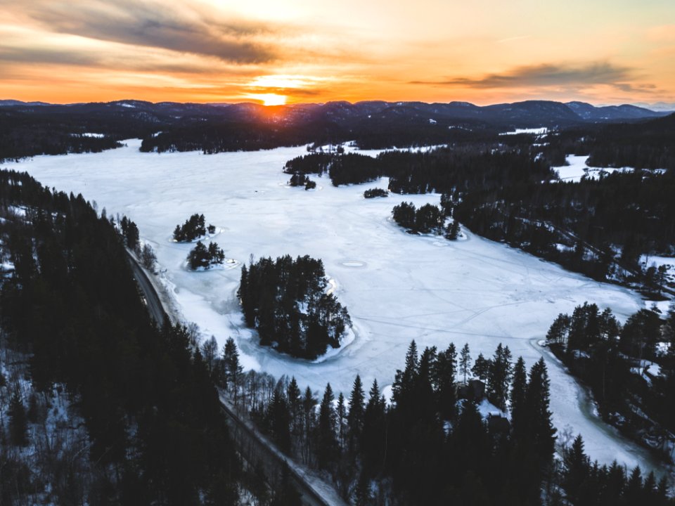 Snowfield Near Green Trees In Aerial Shot