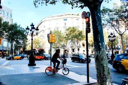 Man Wearing Blue T-shirt Riding Bicycle On Street photo