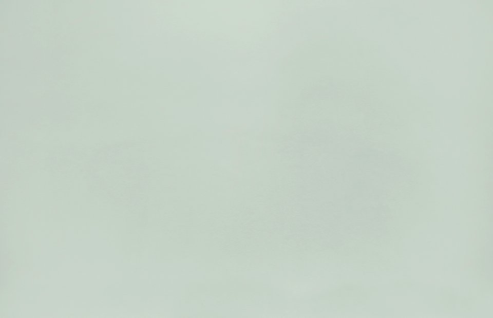 Beige Blank Color