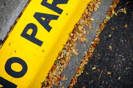 Yellow No Parking Pavement