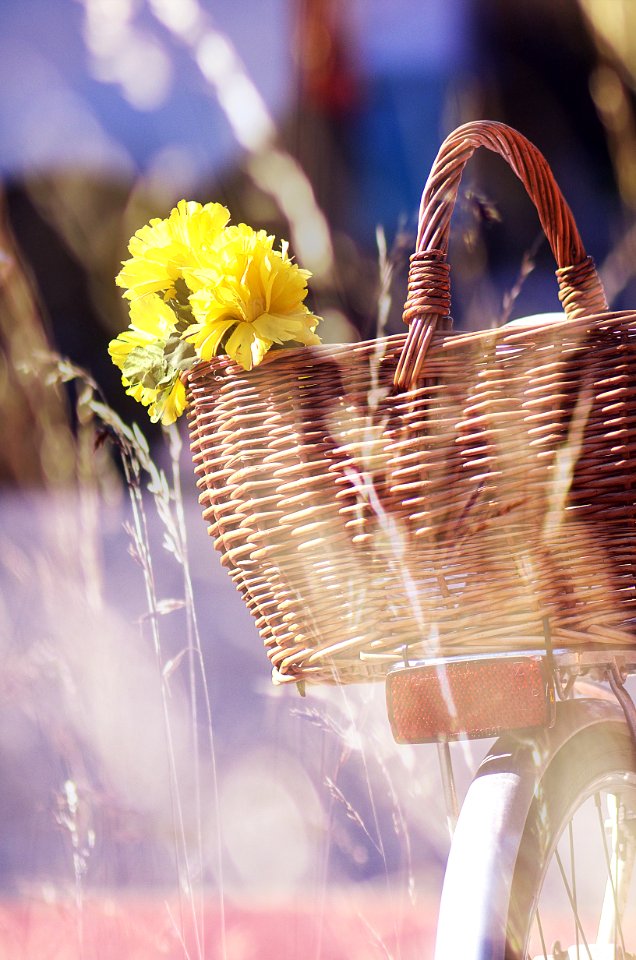 Brown Wicker Basket And Yellow Flowers
