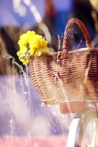 Brown Wicker Basket And Yellow Flowers photo