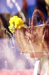 Brown Wicker Basket And Yellow Flowers