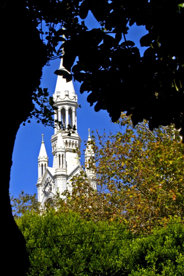 Sky Nature Landmark Tree