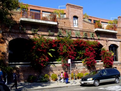 Neighbourhood Town Plant House
