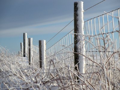 Wire Fencing Winter Frost Snow photo