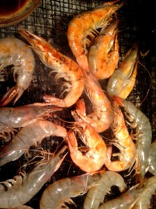 Shrimp Seafood Dendrobranchiata Caridean Shrimp