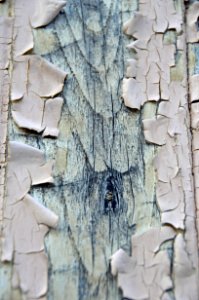 Wall Wood Texture Pattern photo