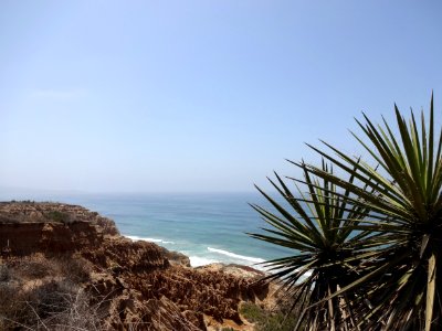 Sea Coast Vegetation Sky