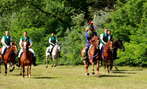 Endurance Riding Trail Riding Equestrianism Horse photo