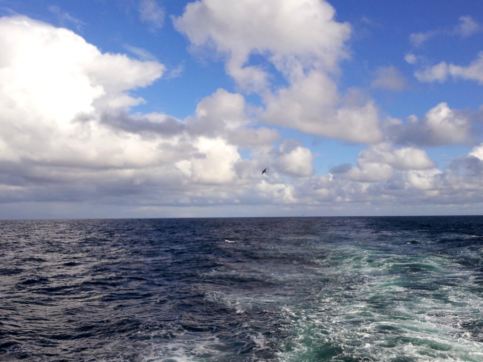Sea Sky Horizon Ocean