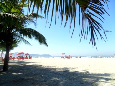 Beach Body Of Water Shore Coastal And Oceanic Landforms photo