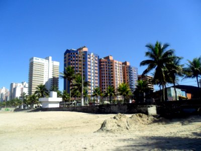 Condominium Property Beach Palm Tree photo